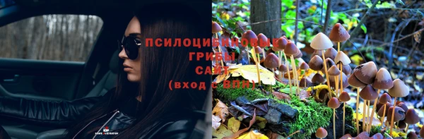 ГАЛЛЮЦИНОГЕННЫЕ ГРИБЫ Одинцово